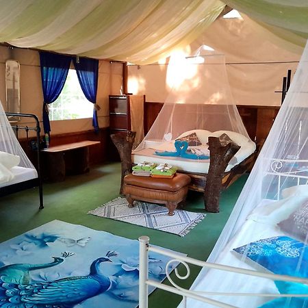 Fully Furnished Family Jungle Tent, Latino Glamping Пакера Экстерьер фото