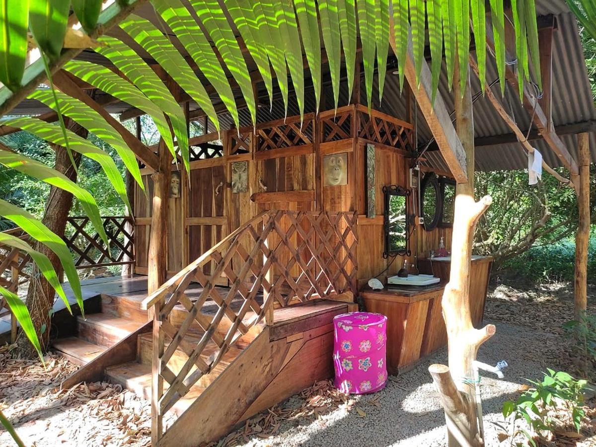 Fully Furnished Family Jungle Tent, Latino Glamping Пакера Экстерьер фото