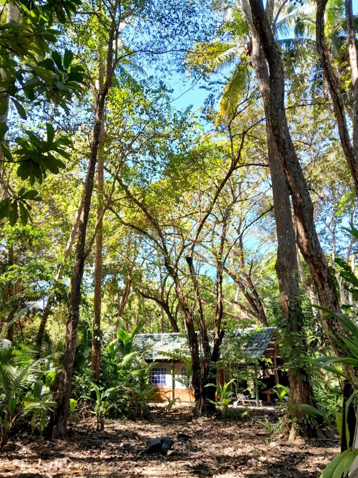 Fully Furnished Family Jungle Tent, Latino Glamping Пакера Экстерьер фото