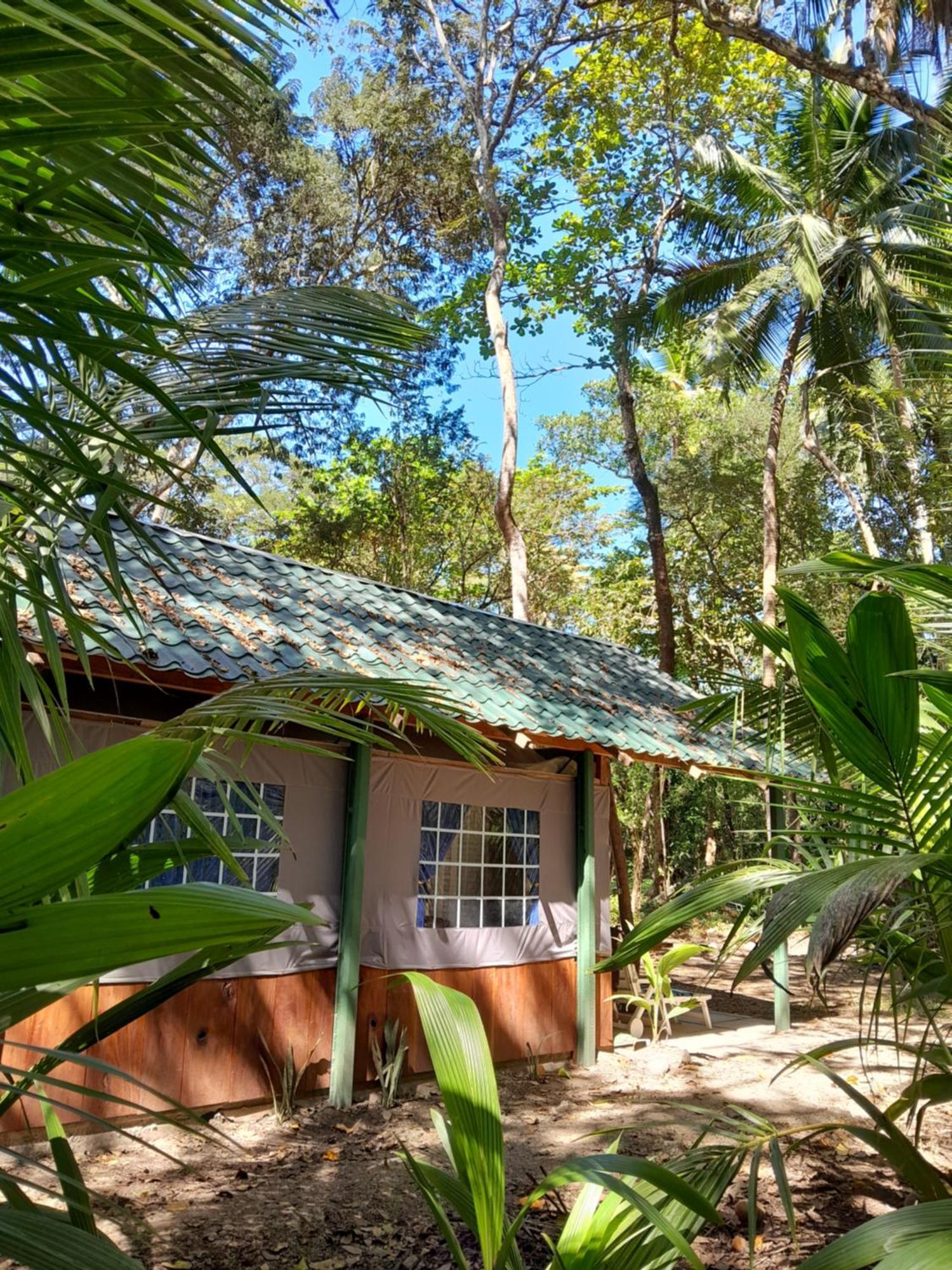 Fully Furnished Family Jungle Tent, Latino Glamping Пакера Экстерьер фото