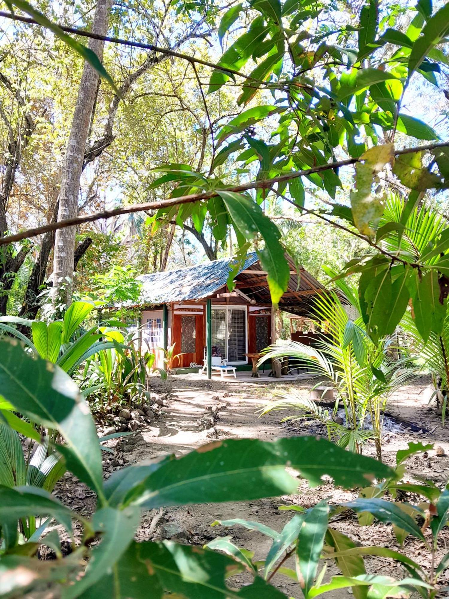 Fully Furnished Family Jungle Tent, Latino Glamping Пакера Экстерьер фото