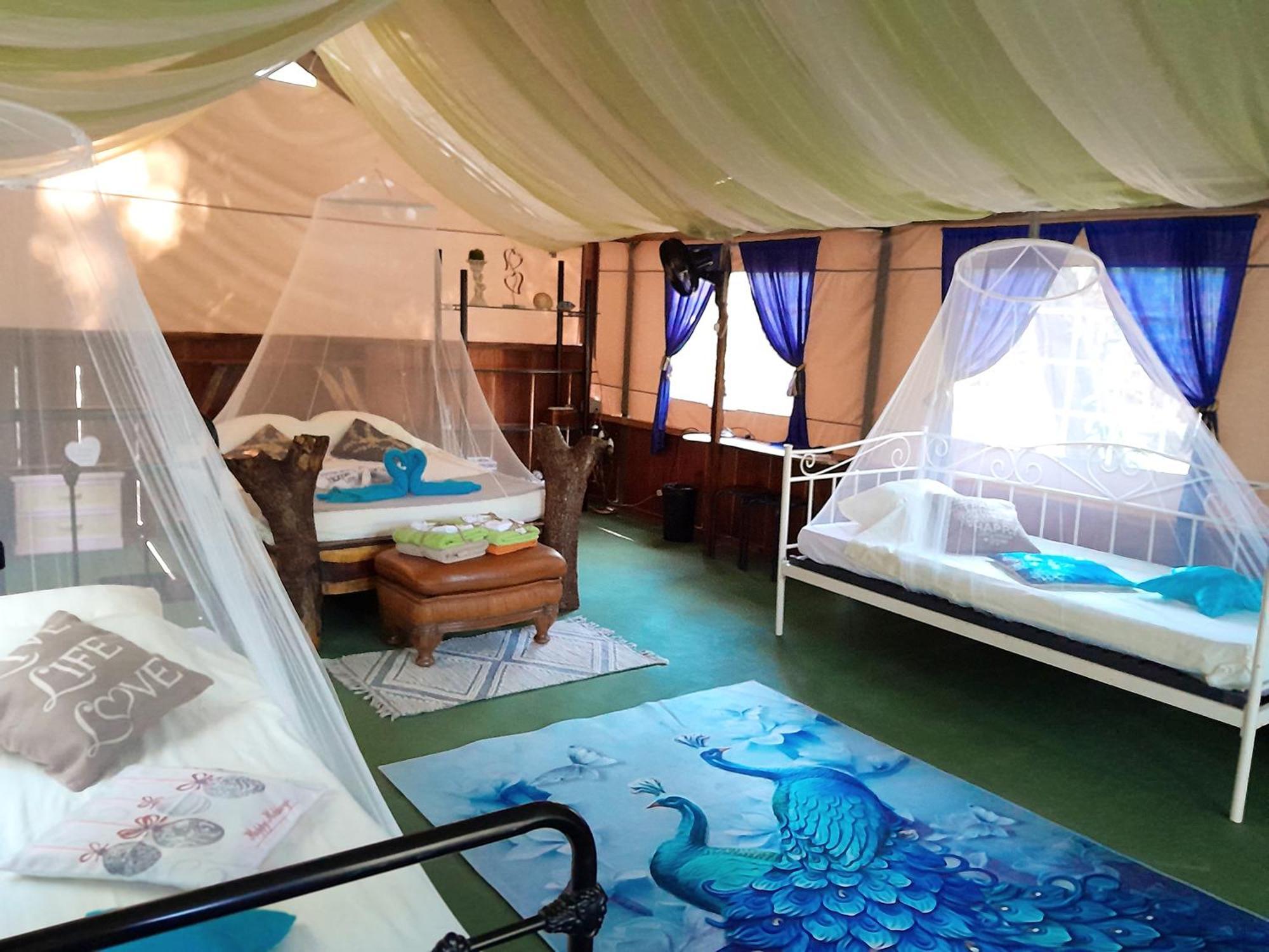 Fully Furnished Family Jungle Tent, Latino Glamping Пакера Экстерьер фото